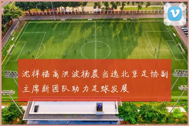 沈祥福高洪波杨晨当选北京足协副主席新团队助力足球发展
